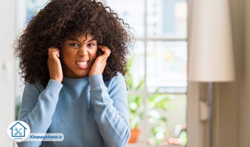 3. صداهای غیرعادی یا بلند